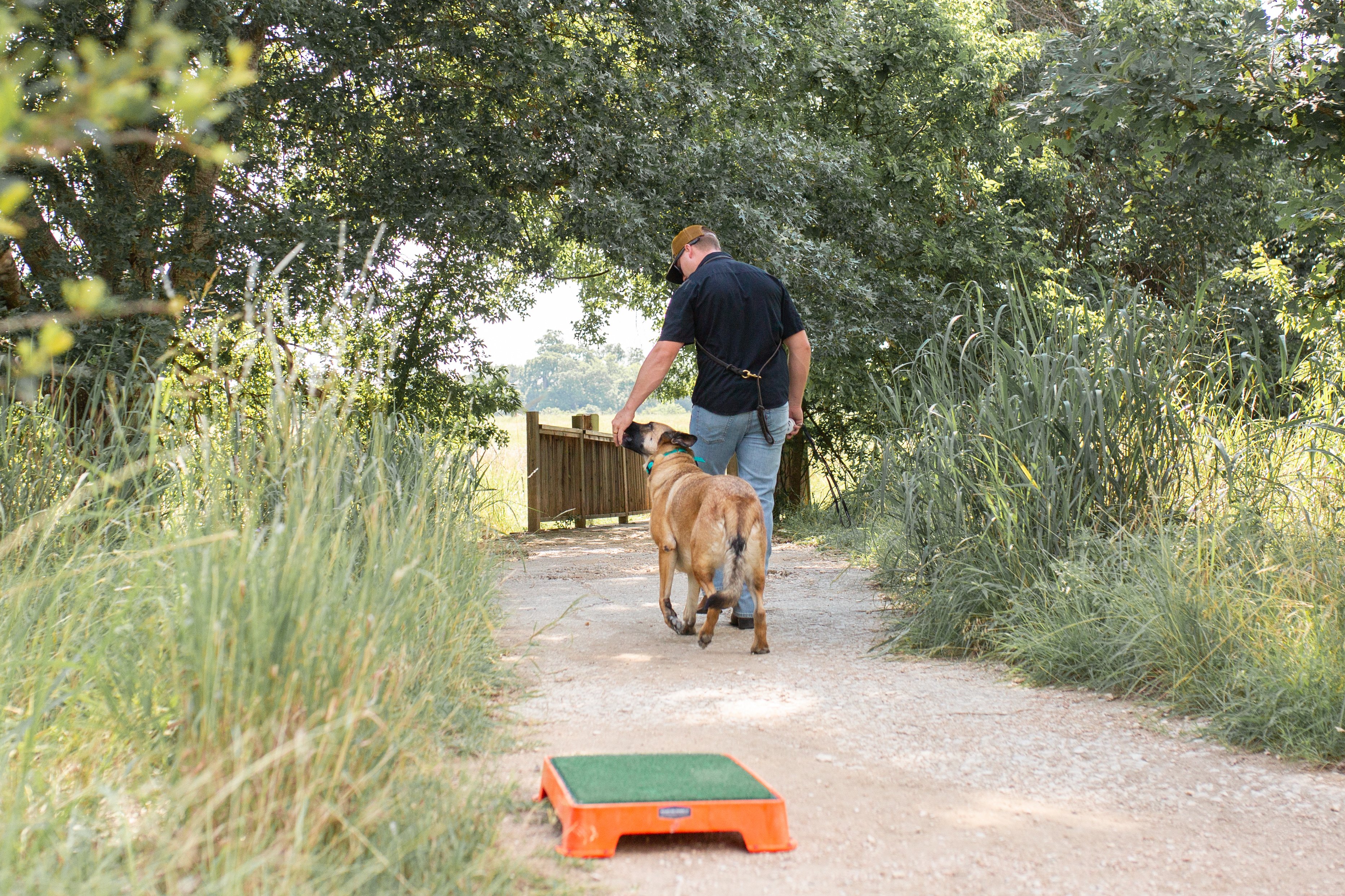 Xcaliber trainer walking a Belgian Malinois at heel down a tree-lined trail with an orange place cot in the foreground